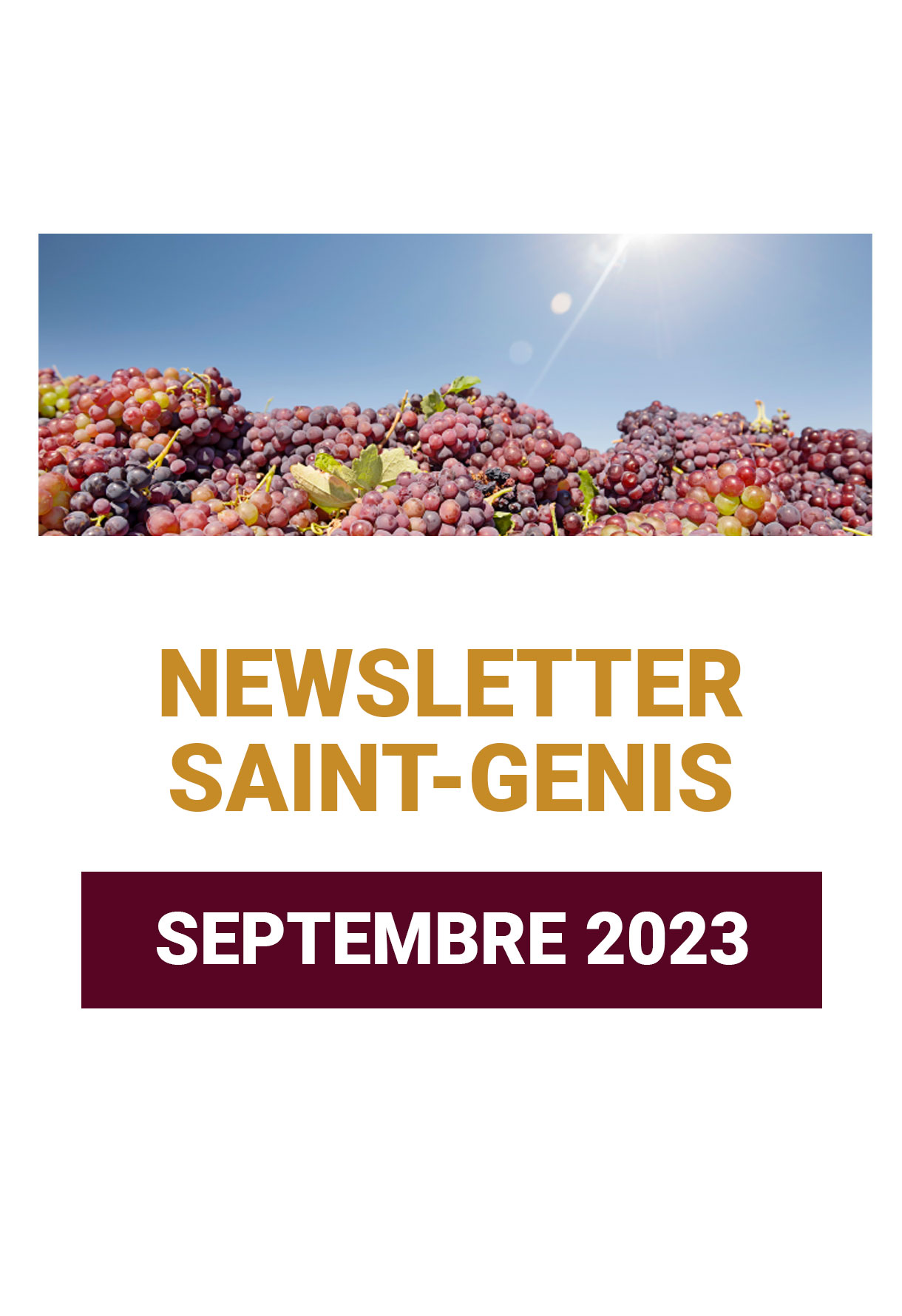 Information newsletter septembre 2023