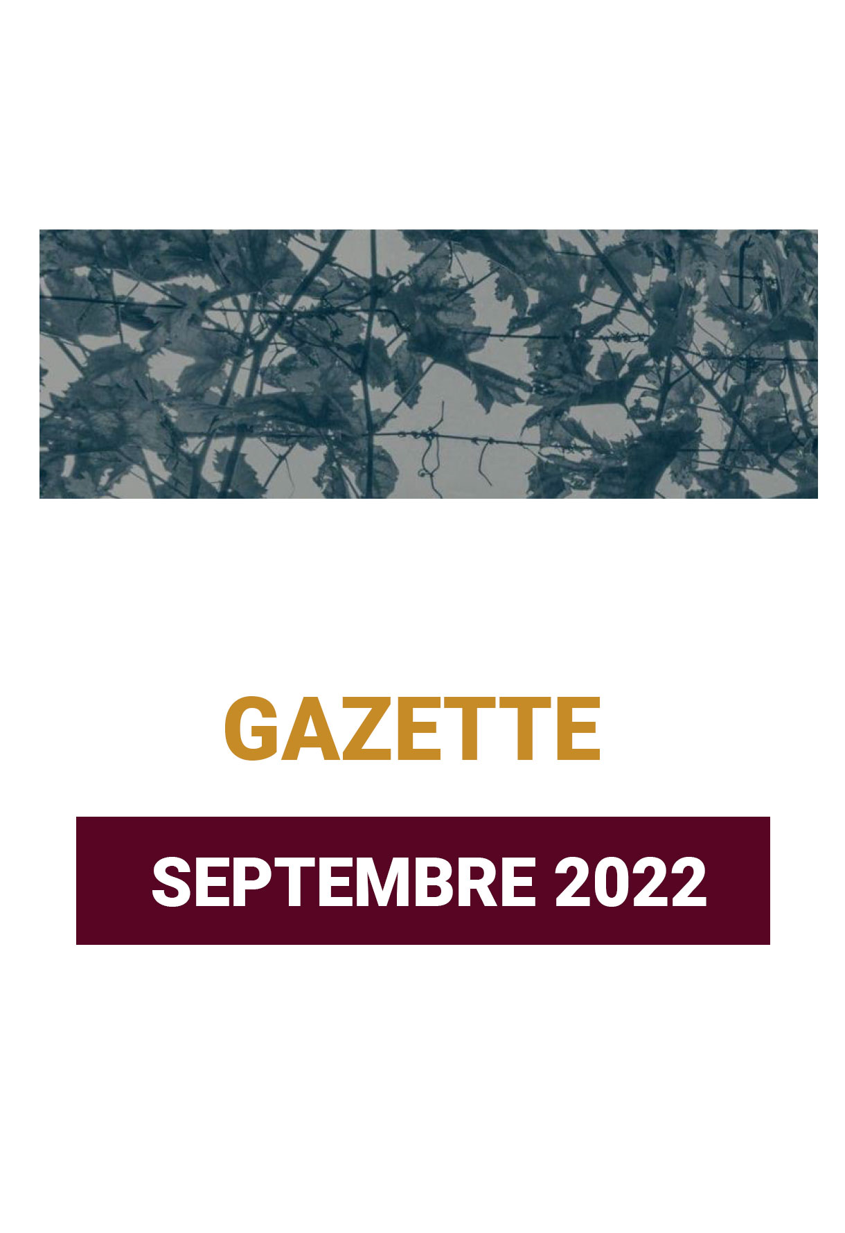 LA GAZETTE 12