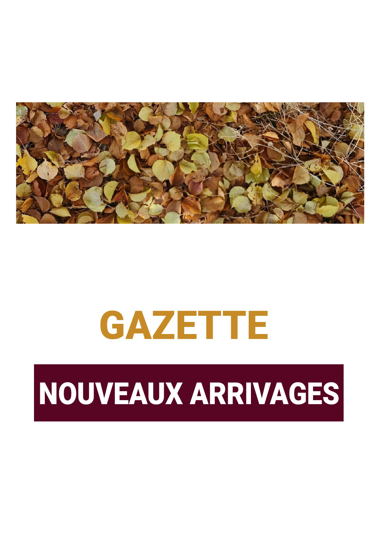 La Gazette Nouveaux arrivages