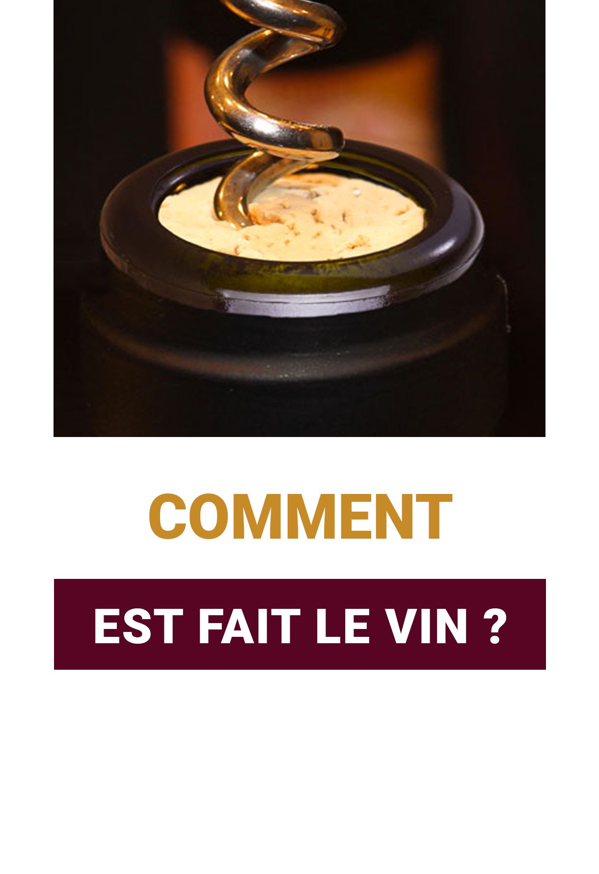 Comment est fait le Vin ?