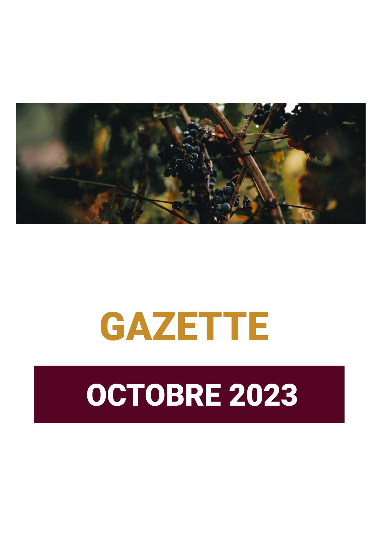 La gazette 19